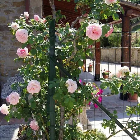 Collemaggio Di Moscatelli Mariassunta Hébergement de vacances